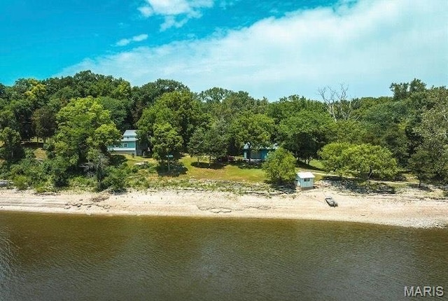 1 Golden Eagle Ferry Rd, Golden Eagle, IL 62036 - water view with a forest