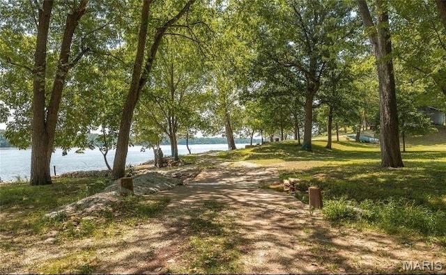 1 Golden Eagle Ferry Rd, Golden Eagle, IL 62036 - surrounding community with a water view and a lawn