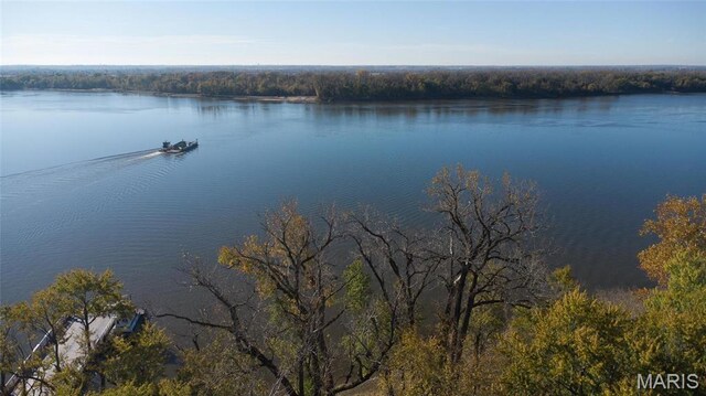 1 Golden Eagle Ferry Rd, Golden Eagle, IL 62036 - water view with a forest