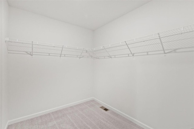 walk in closet featuring light carpet