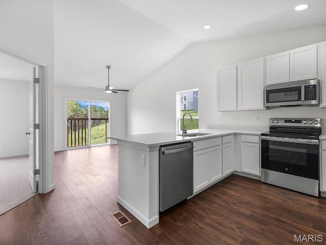 3128 White Pine Dr, Imperial, MO 63052 - kitchen with stainless steel appliances, vaulted ceiling, a peninsula, open floor plan, and ceiling fan