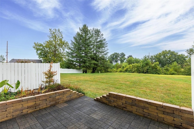 view of yard with a patio area