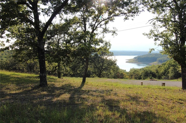 932 State Highway Hh, Isabella, MO 65676 - water view with a forest