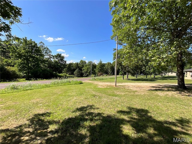 932 State Highway Hh, Isabella, MO 65676 - view of green lawn