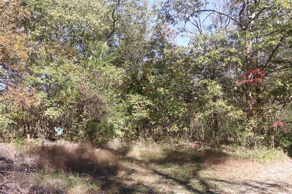 9468 Bent Tree Dr, Hillsboro, MO 63050