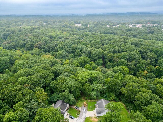 0 Betty Dr, High Ridge, MO 63049 - photo 3
