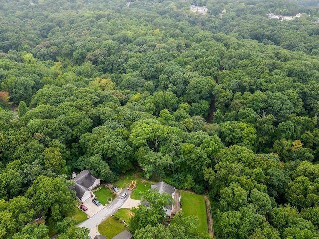 0 Betty Dr, High Ridge, MO 63049 - photo 5