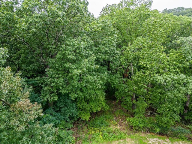 0 Betty Dr, High Ridge, MO 63049 - photo 8