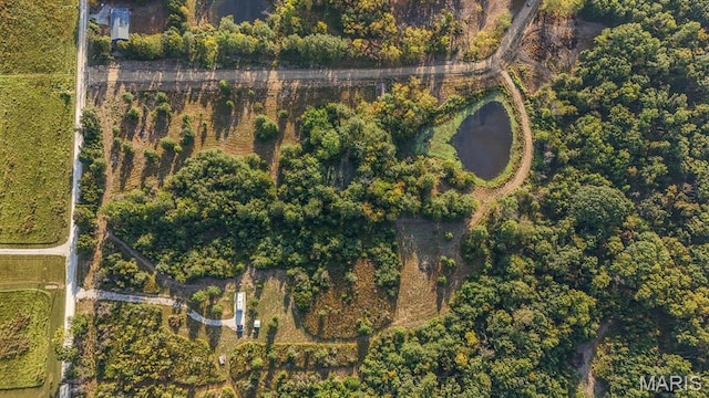 10 Hopkins Rd, Perry, MO 63462