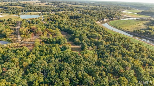 10 Hopkins Rd, Perry, MO 63462