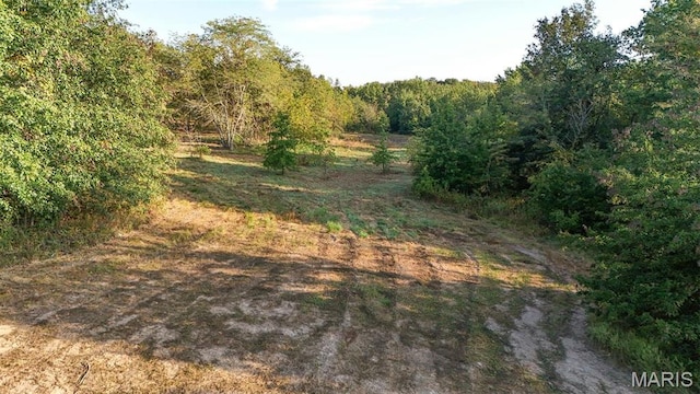 10 Hopkins Rd, Perry, MO 63462