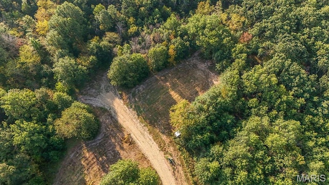 10 Hopkins Rd, Perry, MO 63462
