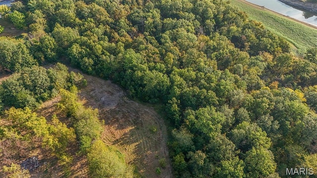 10 Hopkins Rd, Perry, MO 63462