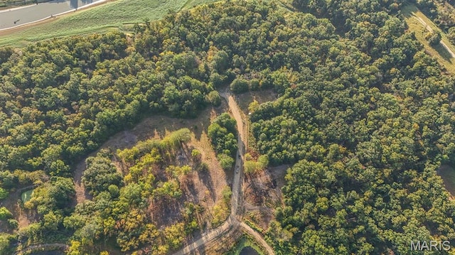 10 Hopkins Rd, Perry, MO 63462