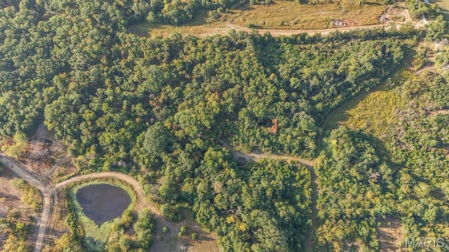 10 Hopkins Rd, Perry, MO 63462
