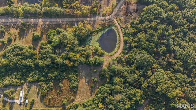 10 Hopkins Rd, Perry, MO 63462