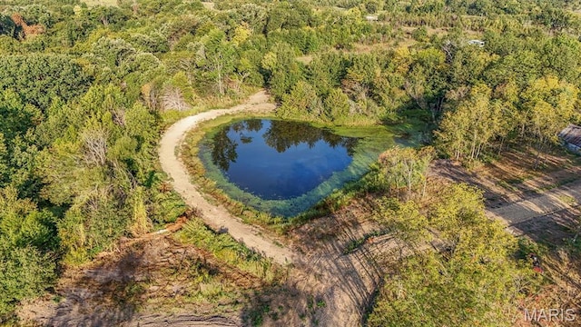 10 Hopkins Rd, Perry, MO 63462