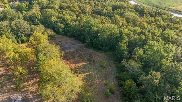 10 Hopkins Rd, Perry, MO 63462