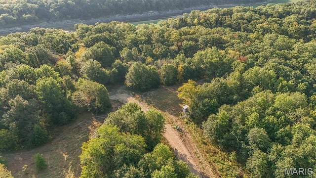 10 Hopkins Rd, Perry, MO 63462