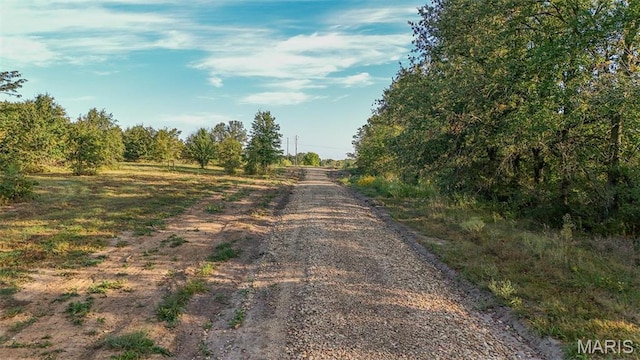 10 Hopkins Rd, Perry, MO 63462