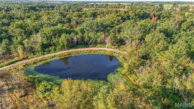 10 Hopkins Rd, Perry, MO 63462