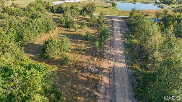 10 Hopkins Rd, Perry, MO 63462