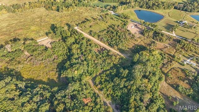 10 Hopkins Rd, Perry, MO 63462
