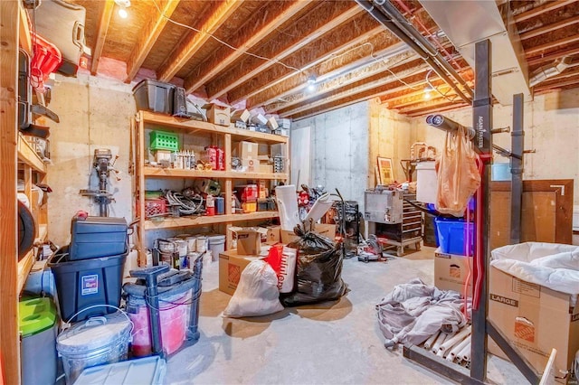 101 Lauren Grace Ct, Elsberry, MO 63343 - view of storage room