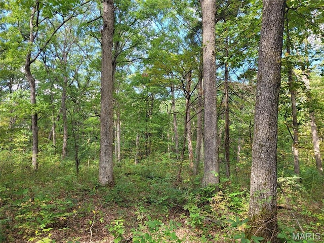 235 Hidden Sanctuary Dr, Foristell, MO 63348
