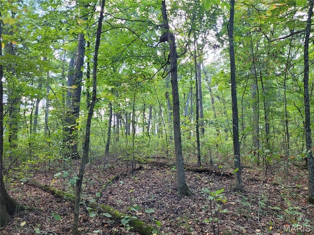 235 Hidden Sanctuary Dr, Foristell, MO 63348