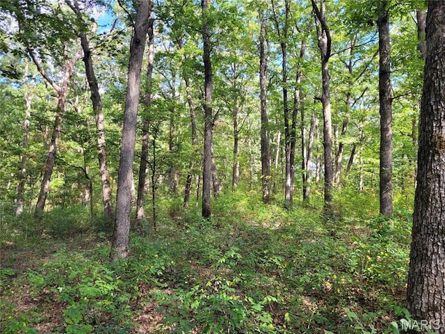 235 Hidden Sanctuary Dr, Foristell, MO 63348