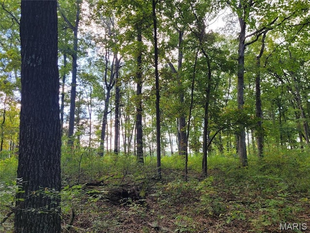 235 Hidden Sanctuary Dr, Foristell, MO 63348