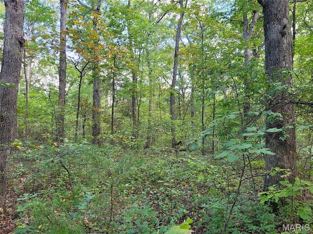 235 Hidden Sanctuary Dr, Foristell, MO 63348