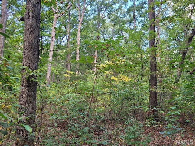 235 Hidden Sanctuary Dr, Foristell, MO 63348