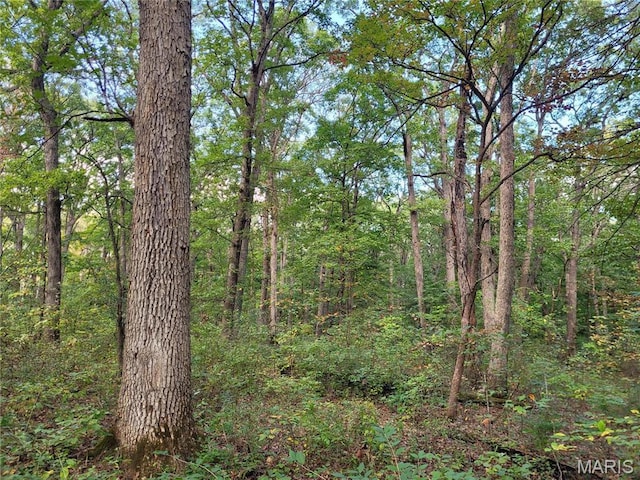 235 Hidden Sanctuary Dr, Foristell, MO 63348
