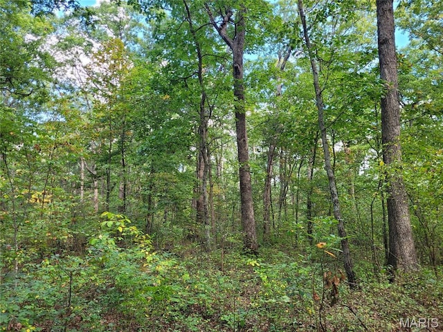 235 Hidden Sanctuary Dr, Foristell, MO 63348