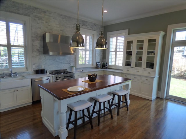 4969 Pershing Pl Unit 1, Saint Louis, MO 63108 - kitchen with appliances with stainless steel finishes, ventilation hood, a sink, wooden counters, and ornamental molding