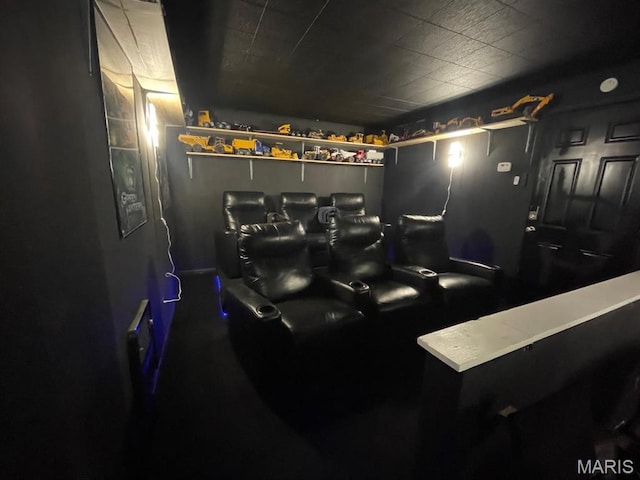 725 Valencia Ave, Saint Louis, MO 63138 - view of cinema room
