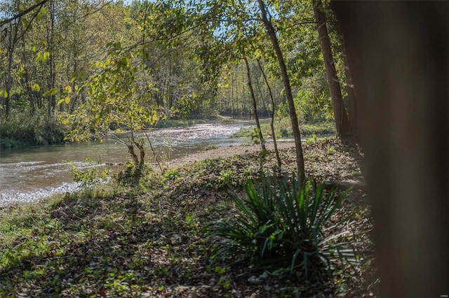 2251 County Road 6670, Salem, MO 65560 - water view featuring a forest