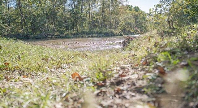 2251 County Road 6670, Salem, MO 65560 - view of woods with a water view
