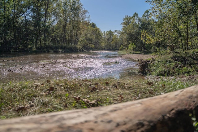 2251 County Road 6670, Salem, MO 65560 - water view with a forest