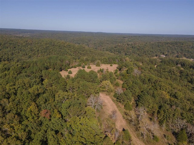 2251 County Road 6670, Salem, MO 65560 - view of property location with a heavily wooded area