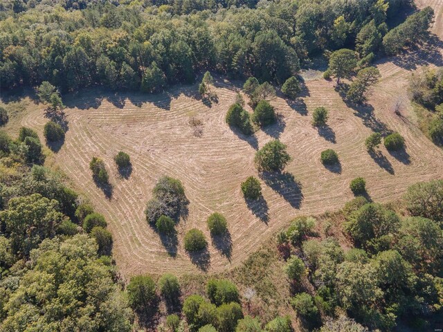 2251 County Road 6670, Salem, MO 65560 - view of property location