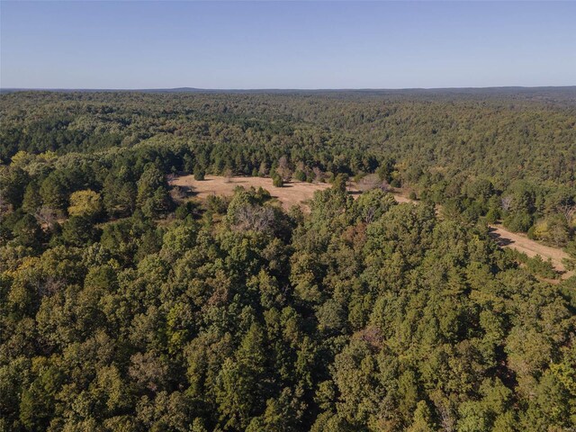 2251 County Road 6670, Salem, MO 65560 - aerial view of property's location with a forest