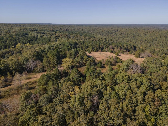 2251 County Road 6670, Salem, MO 65560 - view of property location featuring a heavily wooded area