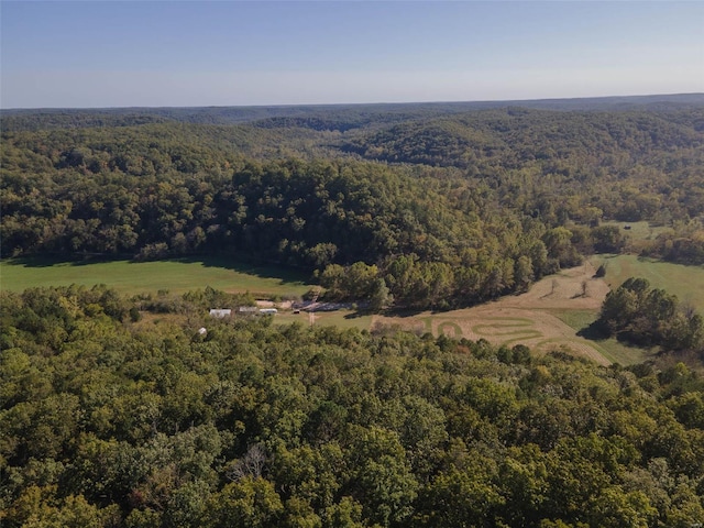 2251 County Road 6670, Salem, MO 65560 - view of property location with a forest