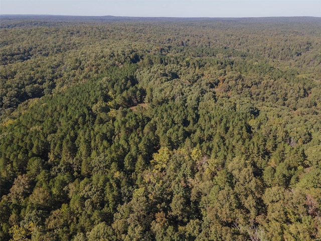 2251 County Road 6670, Salem, MO 65560 - aerial view of property's location with a forest