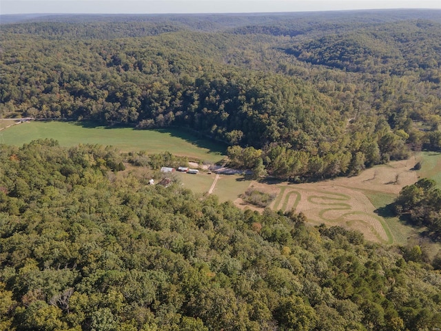 2251 County Road 6670, Salem, MO 65560 - aerial view of property's location with a forest