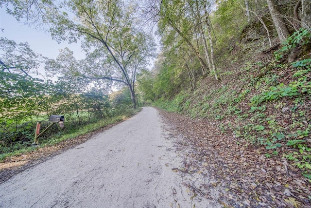 2251 County Road 6670, Salem, MO 65560 - view of road with a wooded view