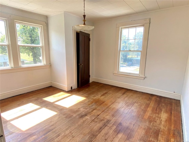 101 E Cedar St, Bertrand, MO 63823 - empty room with wood-type flooring, baseboards, and ornamental molding